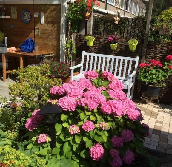 غرفة إقتصادية, Bed And Breakfast Ineke En John