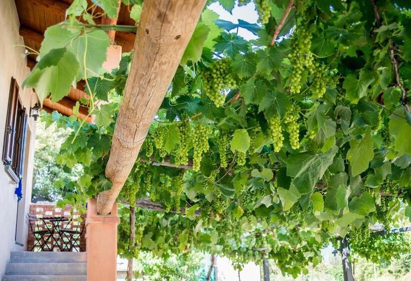 Номер Стандарт Адаптированный для Инвалидов, Il Giardino Di Lavanda