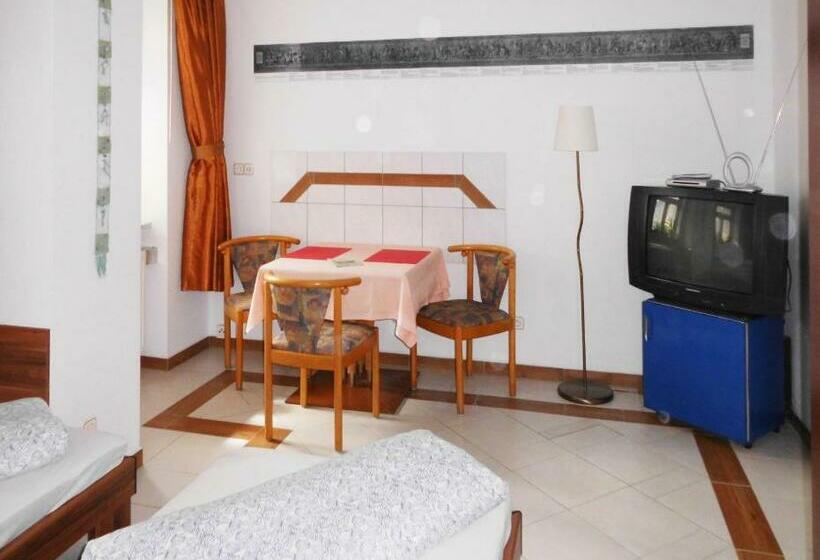 Номер Стандарт, Pension Pieschen Dresden
