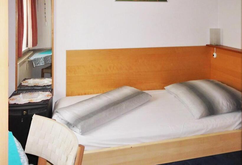 Номер Стандарт Индивидуальный, Pension Pieschen Dresden