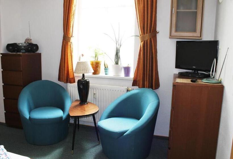 Апартаменты 1 Спальня, Pension Pieschen Dresden