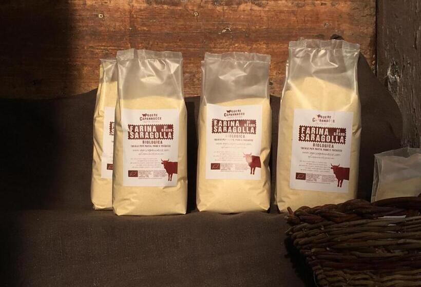 ２ベッドルームハウス, Capannacce Organic And Horse Farm