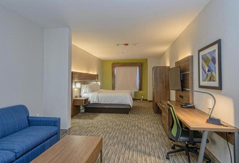 سوئیت با تخت بزرگ, Holiday Inn Express & Suites Corpus Christi, An Ihg