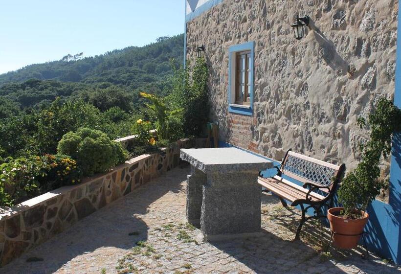 خانه 4 خوابه, Horta Do Zé Miguel