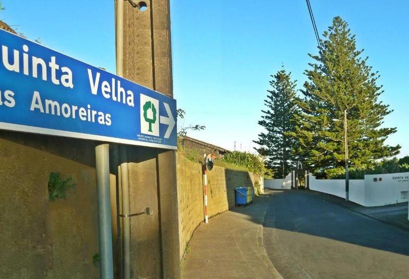 ویلای 1 خوابه با چشم‌انداز دریا, Qva   Quinta Velha Das Amoreiras