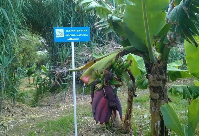 ویلای 1 خوابه با چشم‌انداز دریا, Qva   Quinta Velha Das Amoreiras