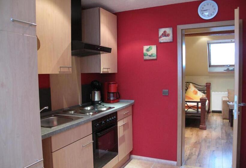 Апартаменты 1 Спальня, Pension Appartementhaus Central