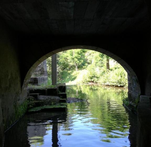 Номер Стандарт, Le Moulin Du Galant
