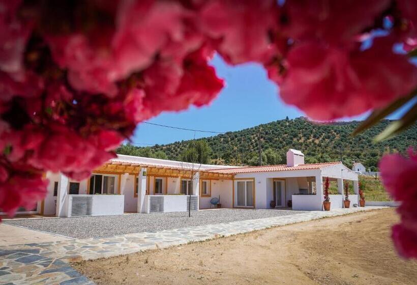 Вилла Superior 1 Спальня, Casas De Santa Rita