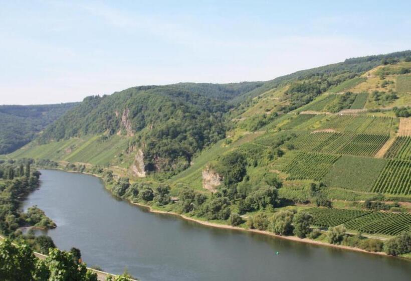 Номер Basic, Weingut Brennerei Gästehaus Emil Dauns