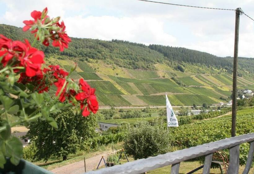 Номер Basic, Weingut Brennerei Gästehaus Emil Dauns