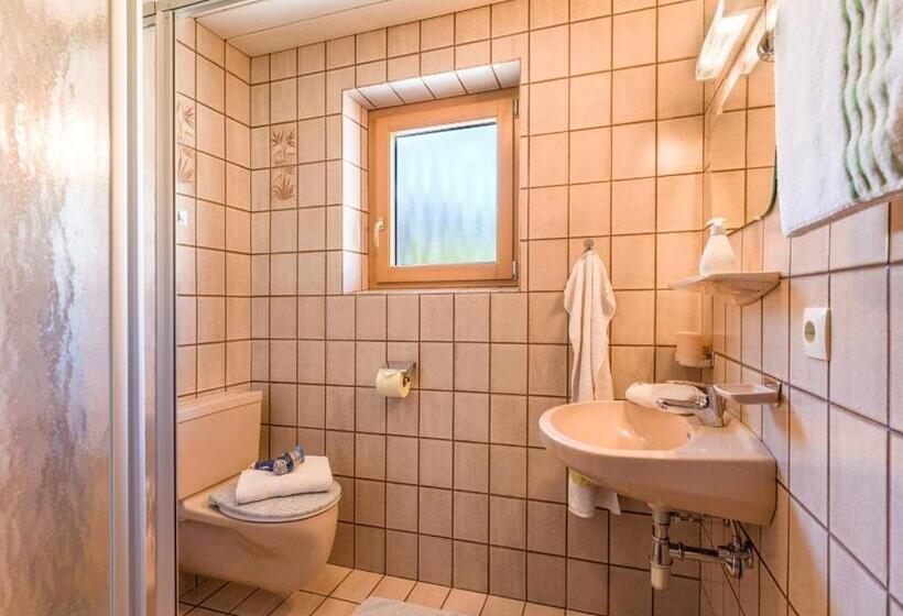 Номер Стандарт с Балконом, Gästehaus Geisler