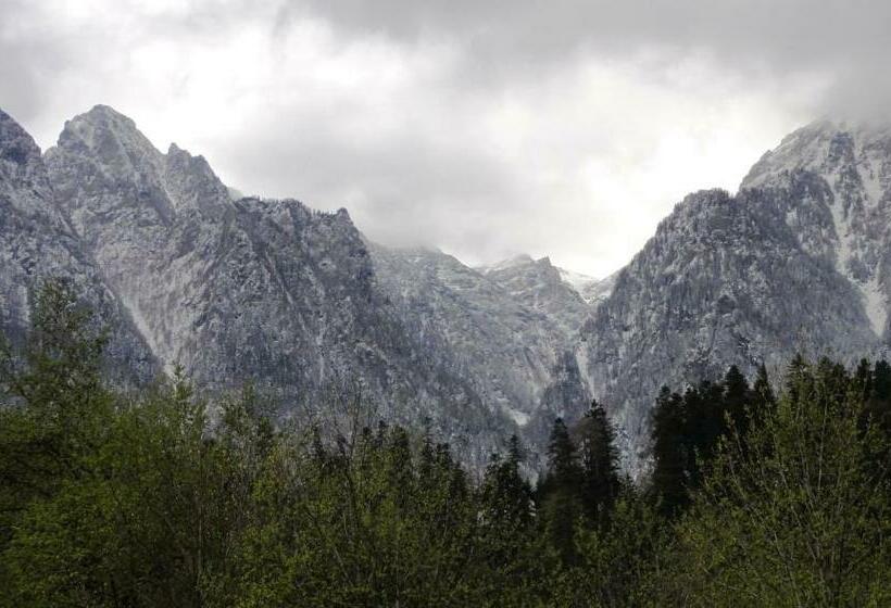 اتاق استاندارد با تخت بزرگ, Vila Nik Busteni