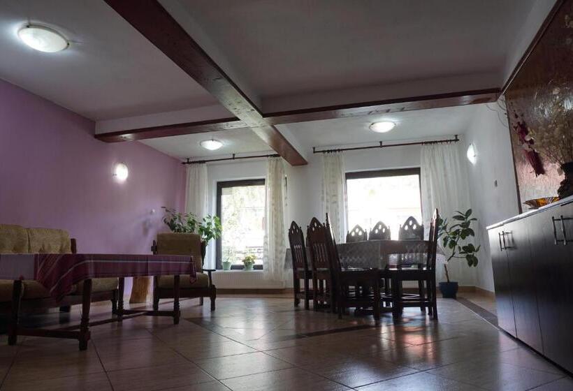 اتاق خانوادگی, Vila Nik Busteni