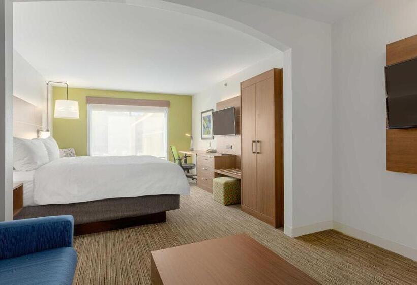 带大床的套房, Holiday Inn Express Hotel & Suites Binghamton University Vestal, An Ihg