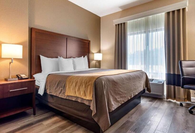 스탠다드 룸 킹사이즈 침대, Comfort Inn & Suites