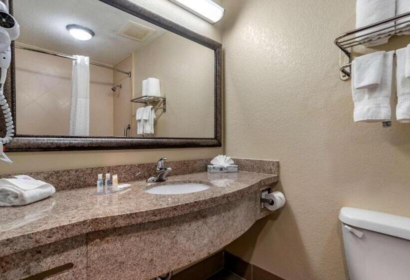 스위트, Comfort Inn & Suites