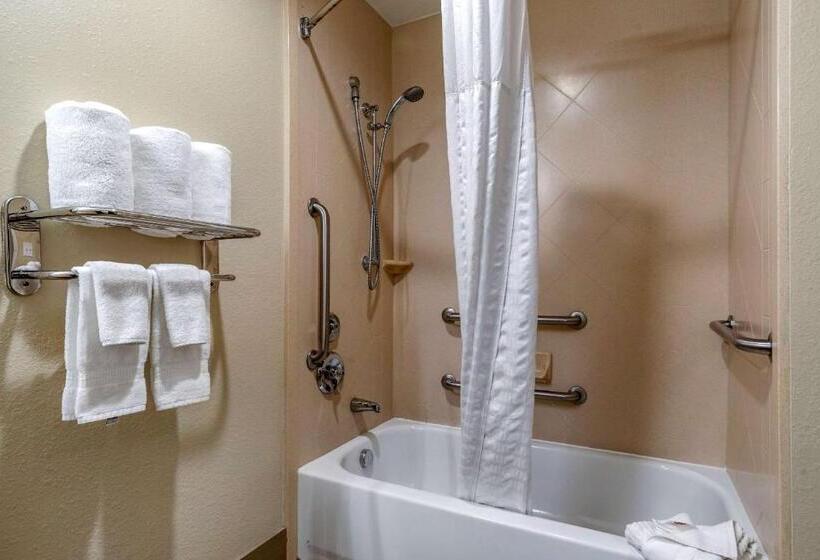 장애인을 위한 스탠다드 룸, Comfort Inn & Suites