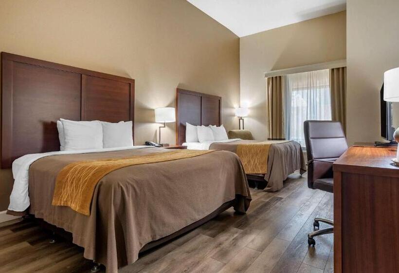장애인을 위한 스탠다드 룸, Comfort Inn & Suites