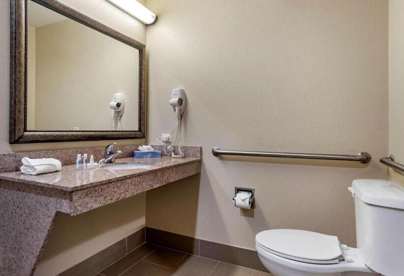 장애인을 위한 킹사이즈 침대 스탠다드 룸, Comfort Inn & Suites