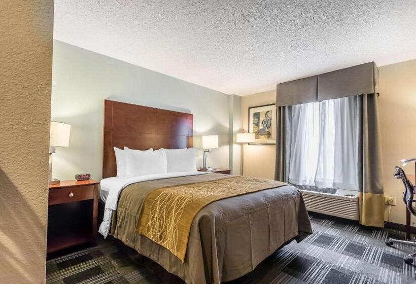 Номер Стандарт Адаптированный для Инвалидов, Comfort Inn Sw Omaha I80