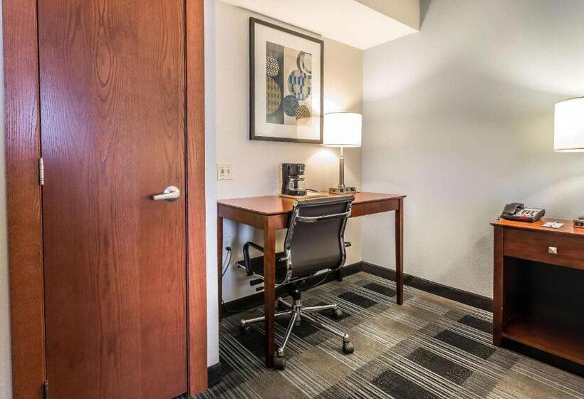 Стандартный Номер Кровать Кинг, Comfort Inn Sw Omaha I80