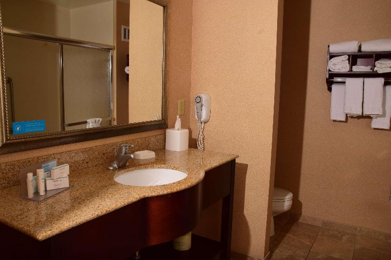 스탠다드 룸 킹사이즈 침대, Hampton Inn Indiana