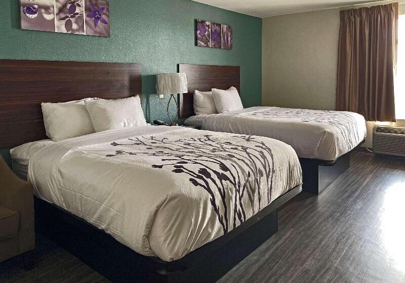 장애인을 위한 킹사이즈 침대 스탠다드 룸, Hampton Inn Indiana