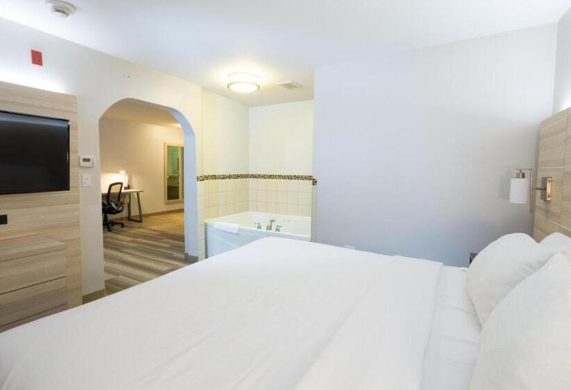 Люкс Executive Кровать Кинг, Holiday Inn Express Hotel & Suites Detroit Utica, An Ihg