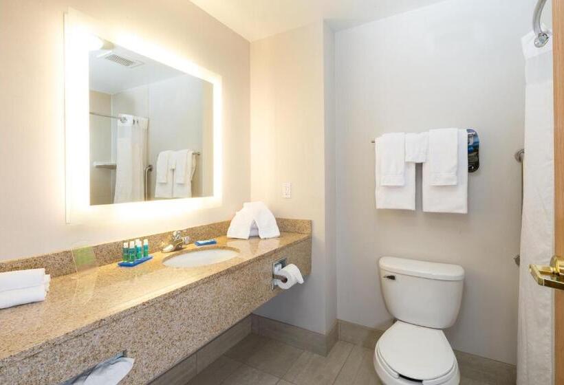 Номер Стандарт Кровать Кинг Адаптированный для Инвалидов, Holiday Inn Express Hotel & Suites Detroit Utica, An Ihg