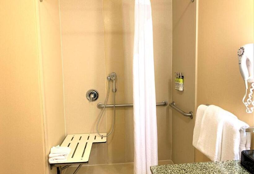 Номер Стандарт Кровать Кинг Адаптированный для Инвалидов, Holiday Inn Express Fresno Northwest   Herndon, An Ihg
