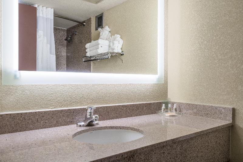 キングサイズベッドのスタンダードルーム, Holiday Inn Express West Palm Beach Metrocentre, An Ihg