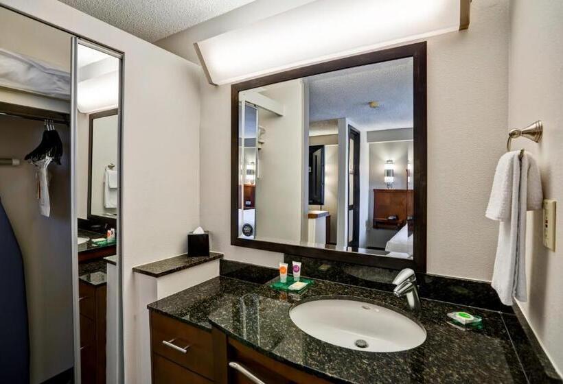 Номер Стандарт, Hyatt Place Richmond   Innsbrook