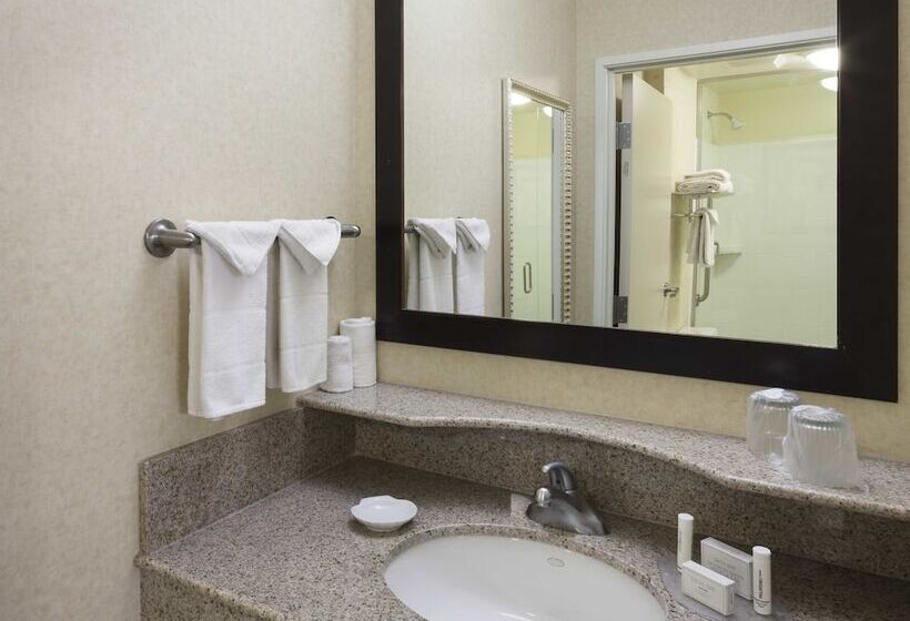 Suite Adaptată pentru Discapacitaţi, Springhill Suites Indianapolis Fishers