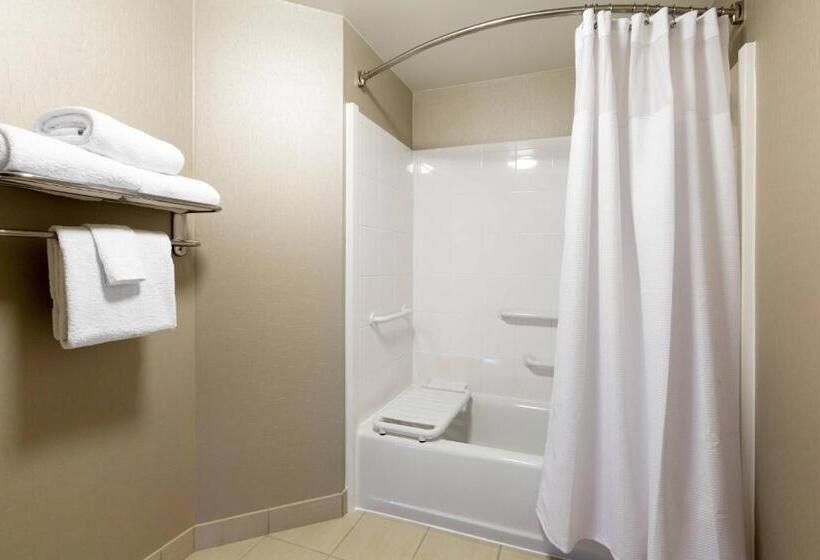 Suite Adaptată pentru Discapacitaţi, Springhill Suites Indianapolis Fishers