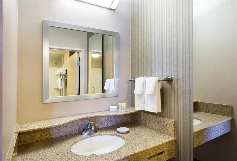 Standard Studio King Bed, Springhill Suites Indianapolis Fishers