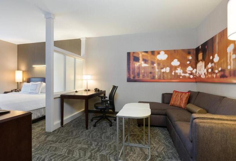Suite Adaptată pentru Discapacitaţi, Springhill Suites Indianapolis Fishers