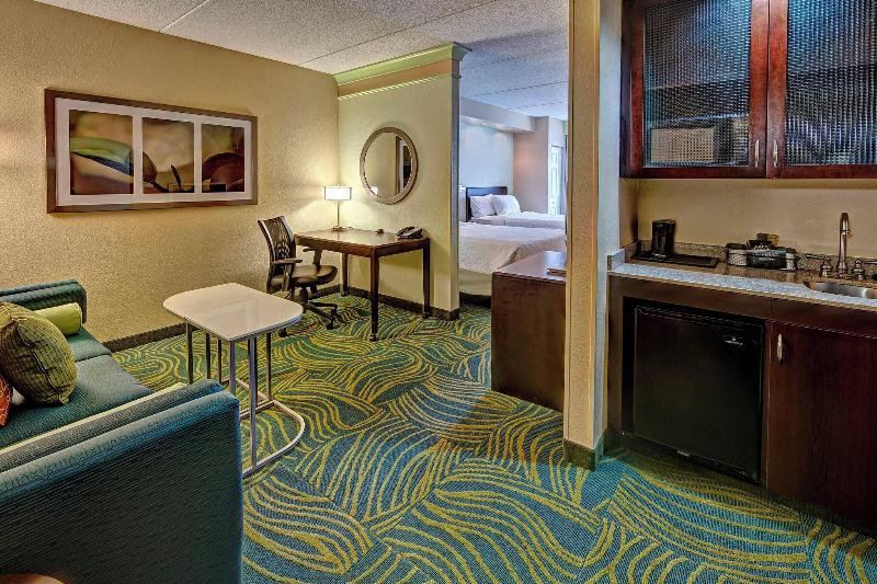 套房, Springhill Suites Norfolk Old Dominion University