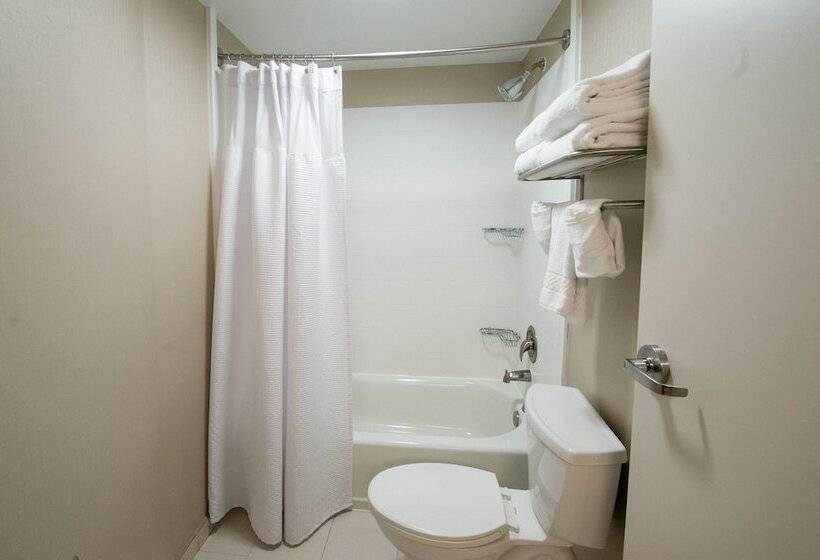 Студия Стандарт, Springhill Suites By Marriott Winston Salem Hanes Mall