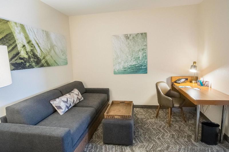 Студио Стандарт Кровать Кинг, Springhill Suites By Marriott Winston Salem Hanes Mall