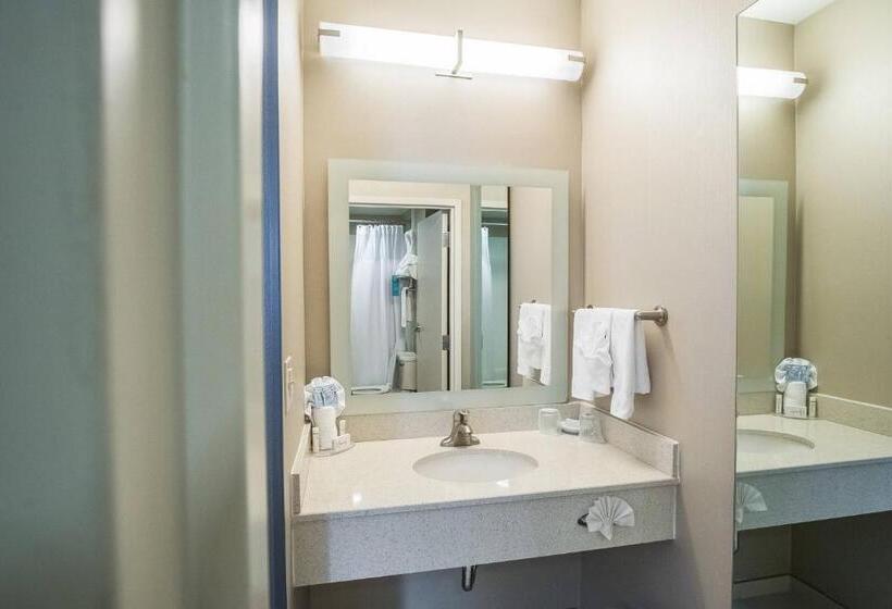 Студио Стандарт Кровать Кинг, Springhill Suites By Marriott Winston Salem Hanes Mall