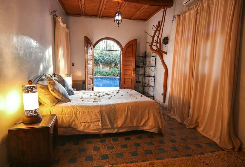 جناح, Riad Dar Etto
