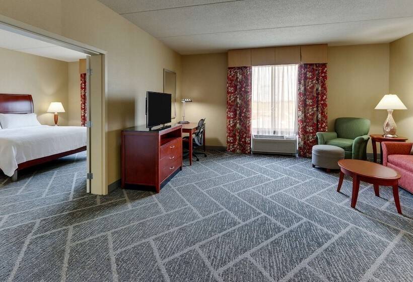 Suite, Hilton Garden Inn Indianapolis Airport