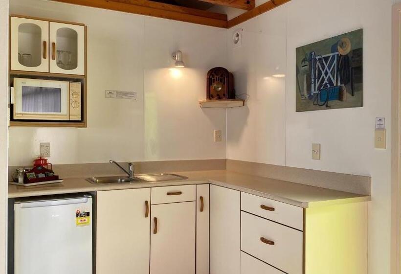 Студио Executive, Rotorua Coachman Spa Motel