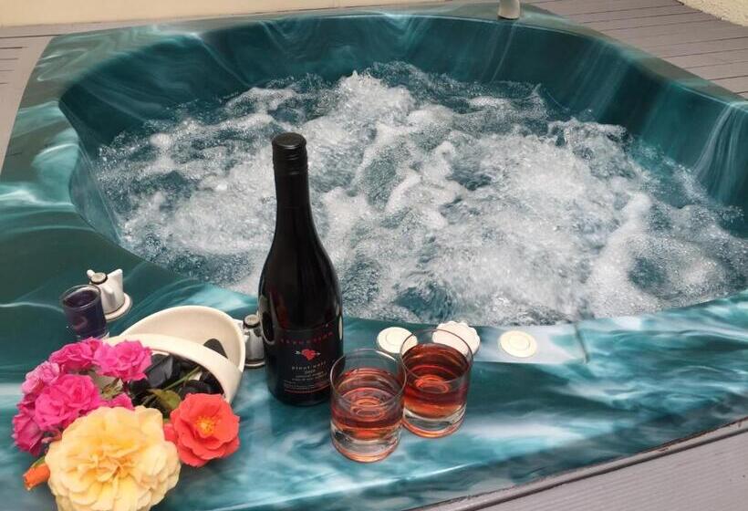 Апартаменты Комфорт 1 Спальня, Rotorua Coachman Spa Motel