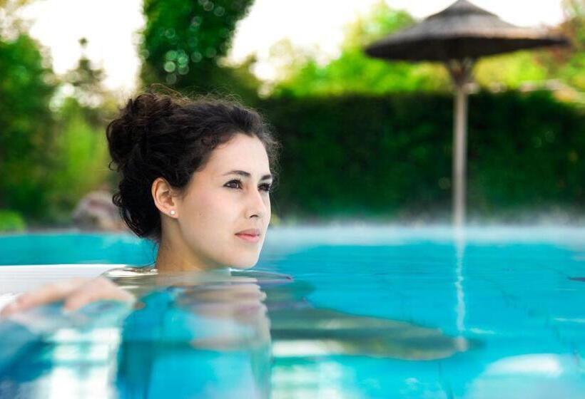 Номер Deluxe, Thermen Bussloo   Apeldoorn