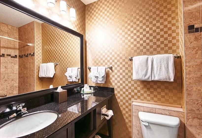 Люкс, Best Western Sunrise Inn & Suites