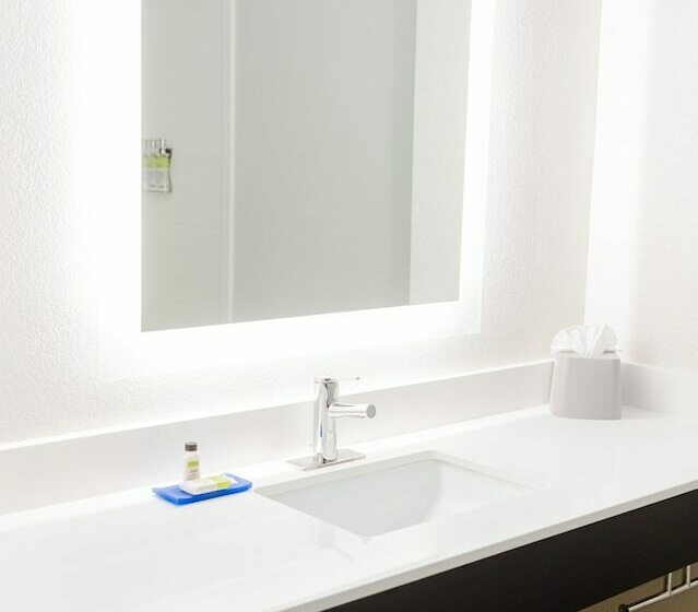 스위트, Holiday Inn Express Hotel & Suites Greenville, An Ihg