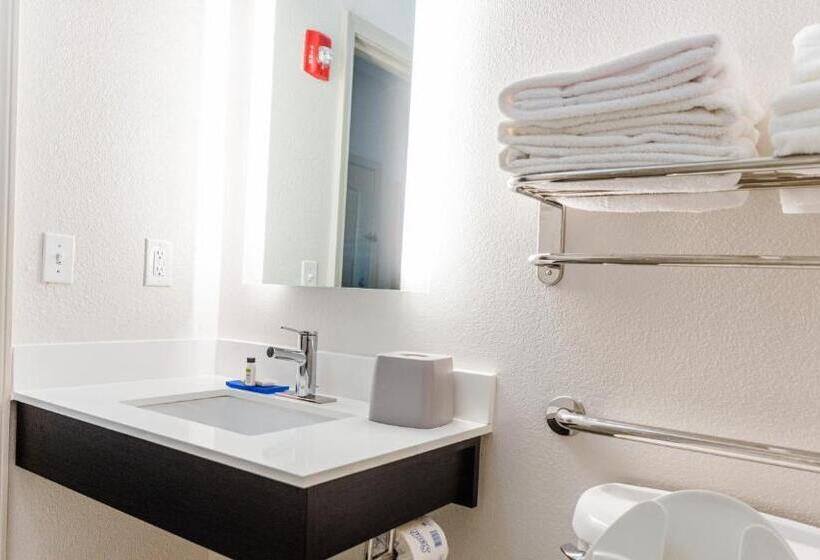 장애인을 위한 킹사이즈 침대 스탠다드 룸, Holiday Inn Express Hotel & Suites Greenville, An Ihg