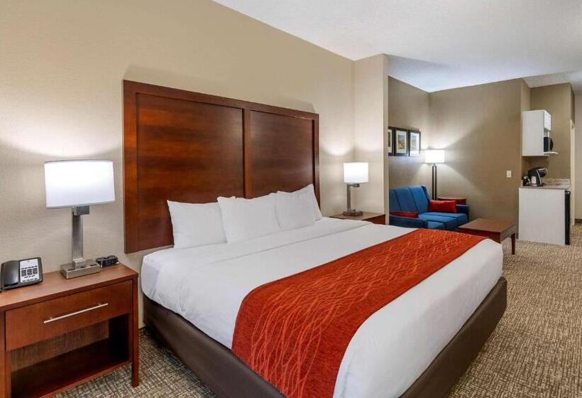 キングサイズベッドのスイートルーム, Comfort & Inn Suites